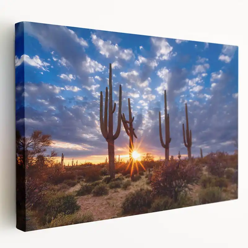 Arizona Desert Sunrise Wall Art - Majestic Saguaro Cactus Landscape Print Deal