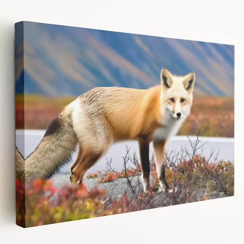 Affordable Majestic Yukon Fox - Wildlife Portrait Canvas