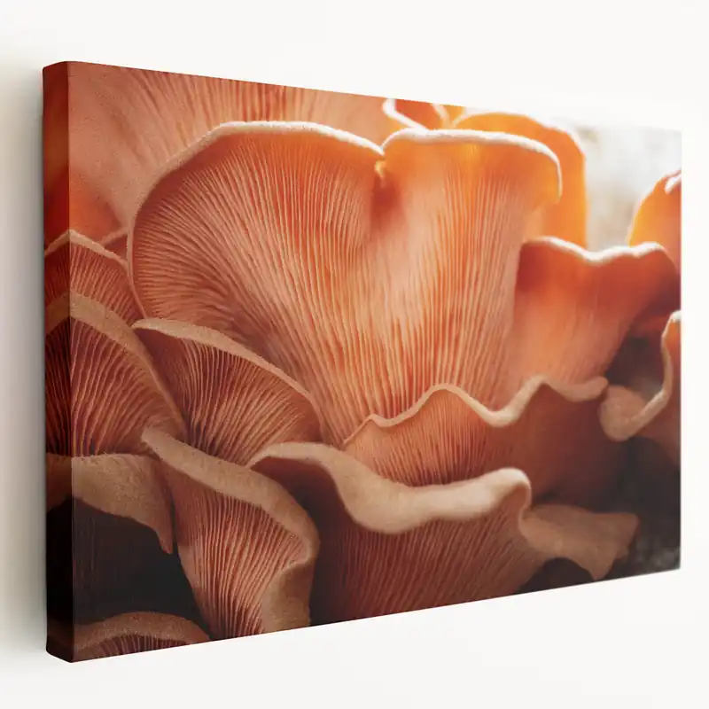 Low Price Delicate Nature Close-Up Wall Art - Mushroom-Inspired Floral Decor