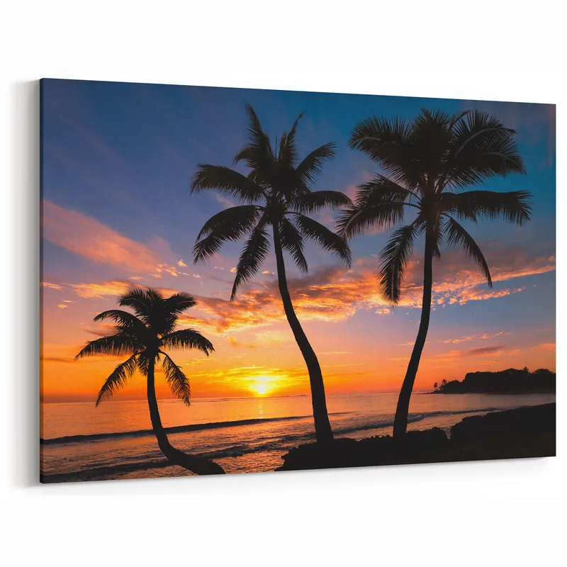 Brand New Caribbean Scenery Art - Silhouetted Palm Trees at Sunset in Bahamas