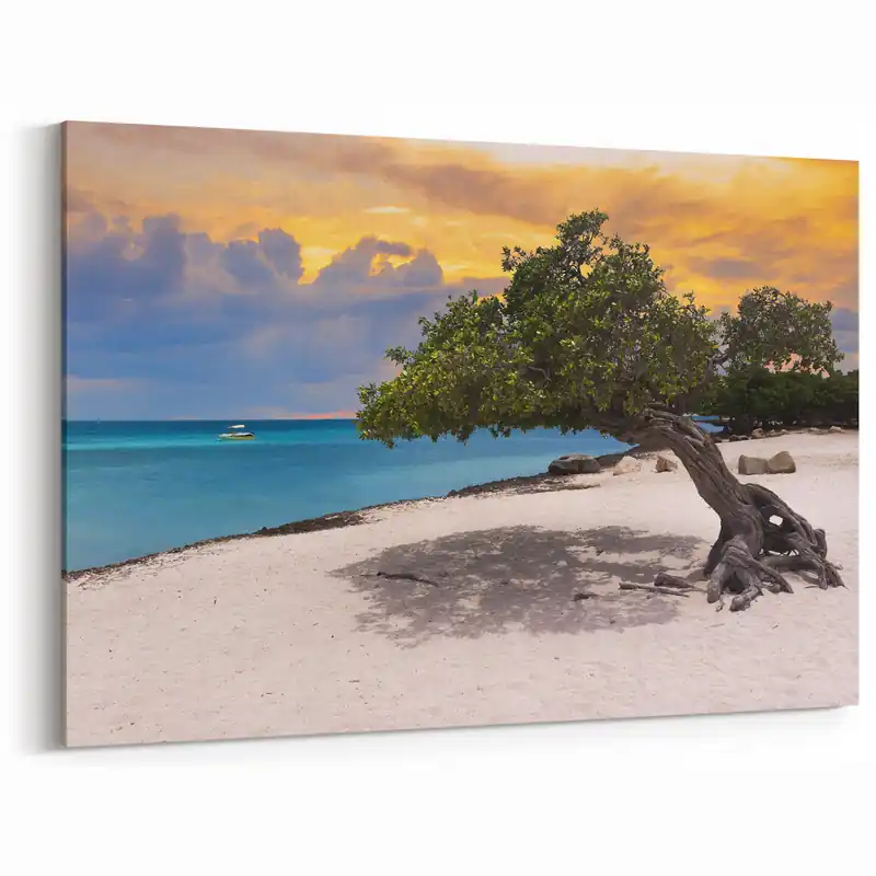 Top Rated Beach Paradise Prints – Aruba Tree at Sunset with Ocean and Boat View
