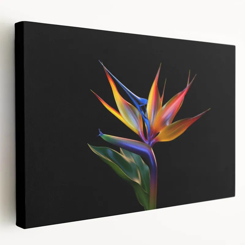 Vibrant Bird of Paradise Flower Art - Exotic Botanical Wall Decor Print Direct From Factory