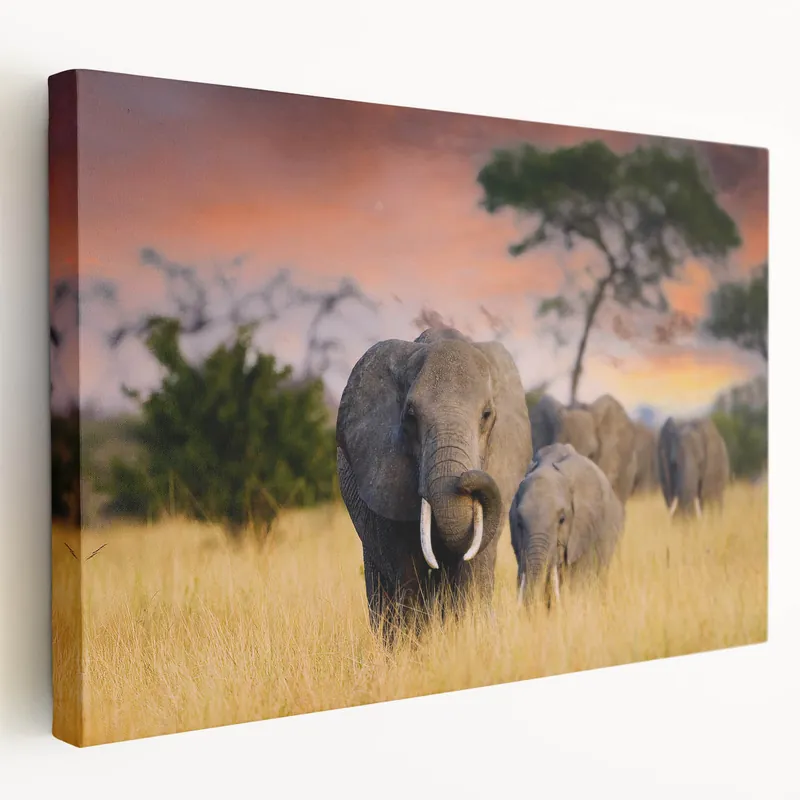 Direct From Manufacturer Elephants at Sunset - Majestic African Wildlife in Serengeti Canvas Print