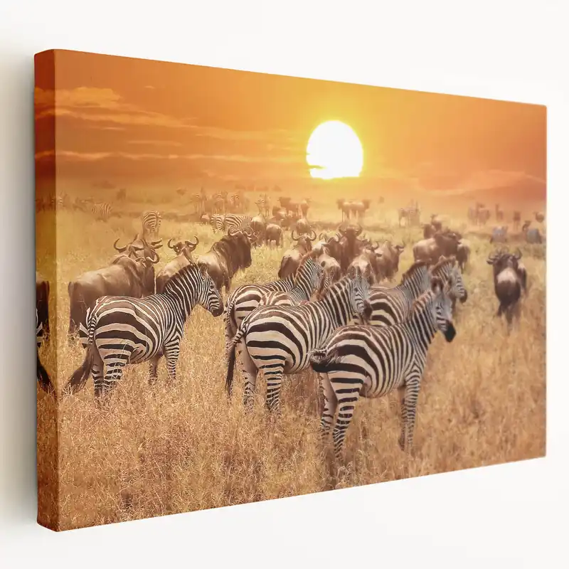 Serengeti Wildlife Art - Zebras and Wildebeests at Sunset Canvas Print Editor’s Pick