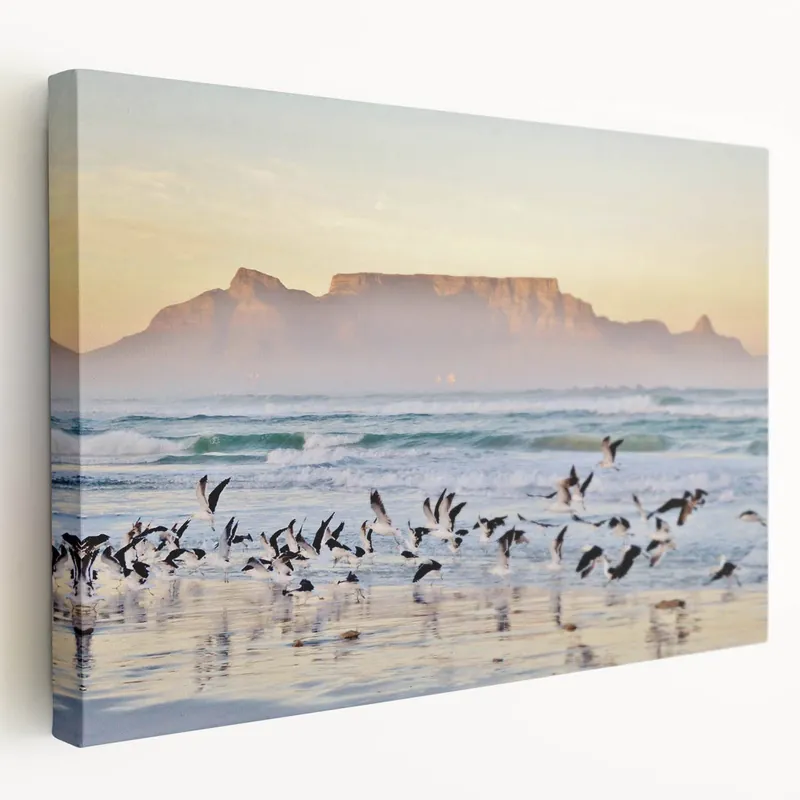 Affordable South Africa Wall Art - Cape Town Canvas of Table Mountain and Seagulls