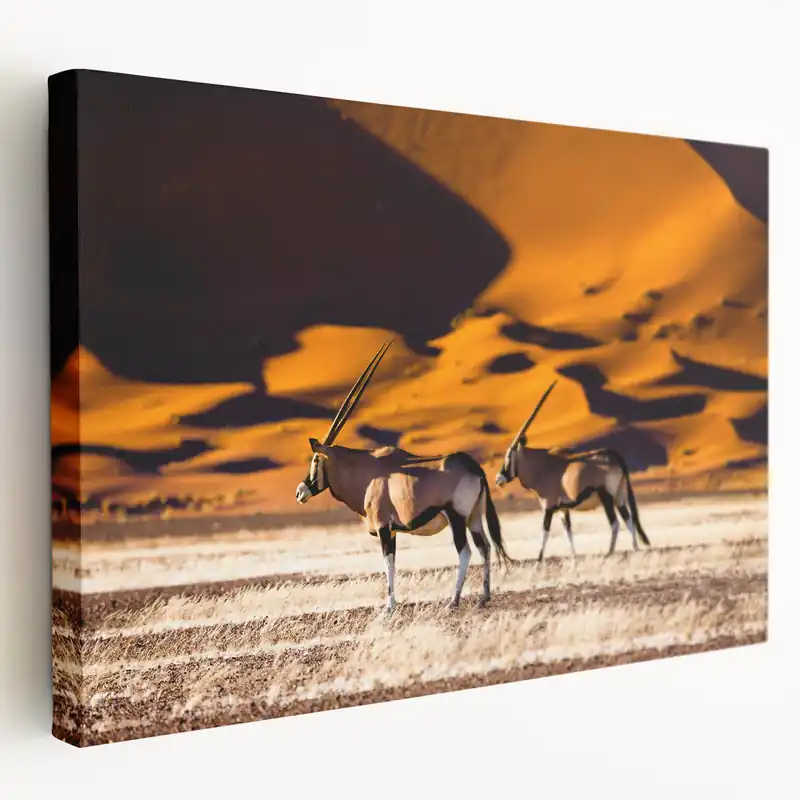 Majestic Namibia Wildlife Art - African Oryx Desert Photography Prints Seasonal Sale