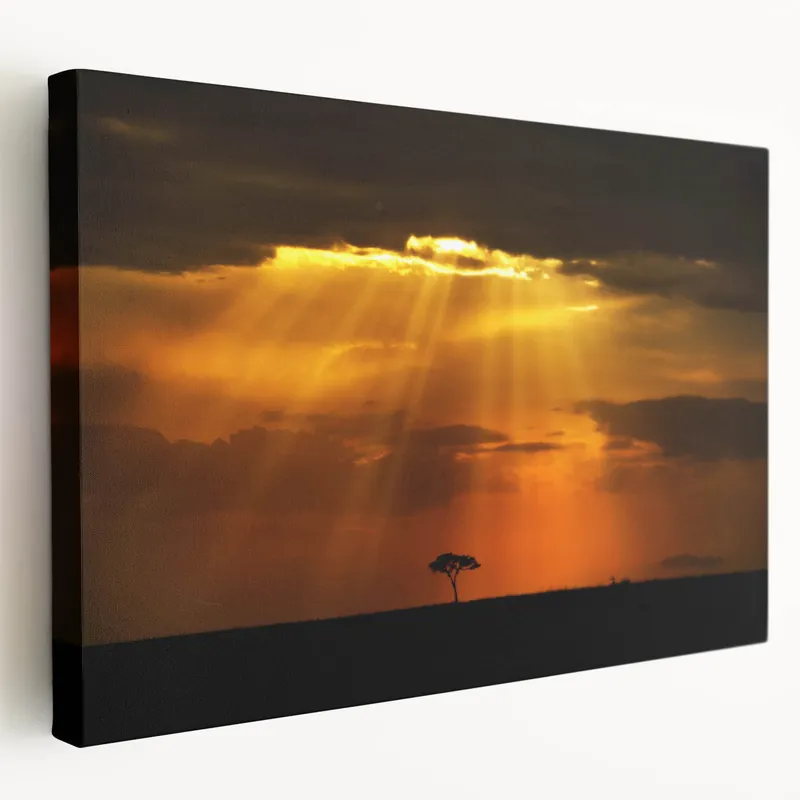 Sunset Rays over Kenyan Savannah Wall Art - Dramatic African Landscape Low Price