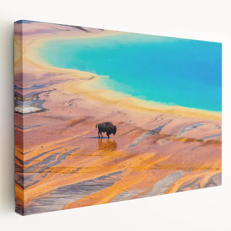 Vivid Geyser and Bison Art - Stunning Natural Landscape Canvas Print Best Price