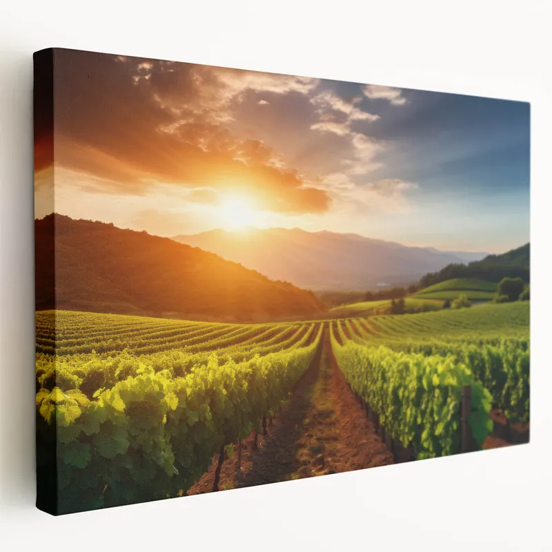 Warranty Included Vineyard Canvas Print - Vibrant Vineyard Sunset Art for Wine Country Decor
