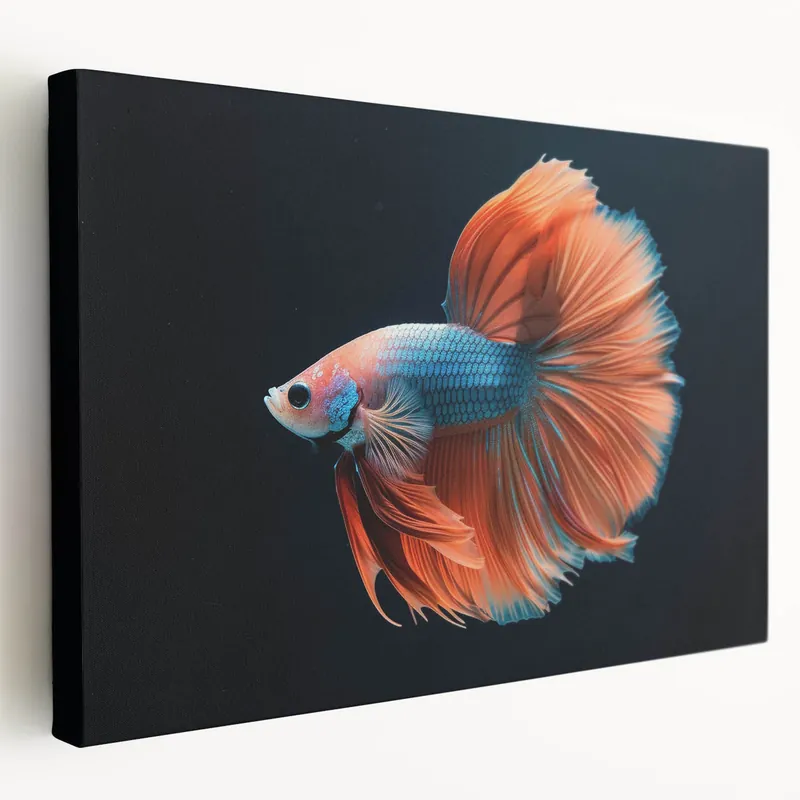 Vibrant Marine Betta Fish Wall Art - Canvas, Framed & Acrylic Prints Big Sale