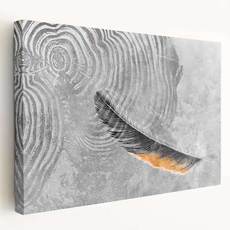 Black and Orange Feather Abstract Art - Strokes and Lines Canvas Limited Time