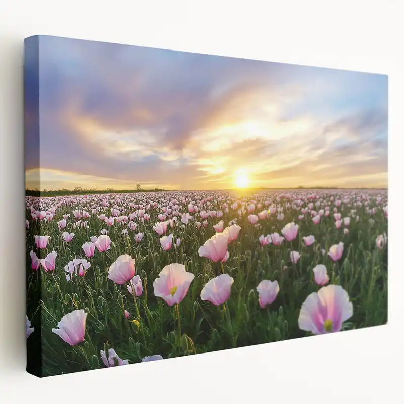 Trending Field Landscape Wall Art - Scenic Fields at Sunset Canvas Print