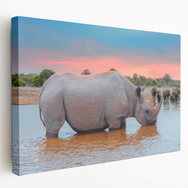 Wildlife of Namibia – Rhino and Elephants at Watering Hole Art Print Mega Sale