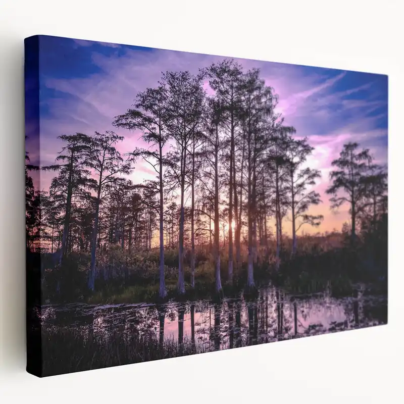 Tranquil Marsh Sunset Wall Art - Serene Swamp Landscape Canvas Print Save Now