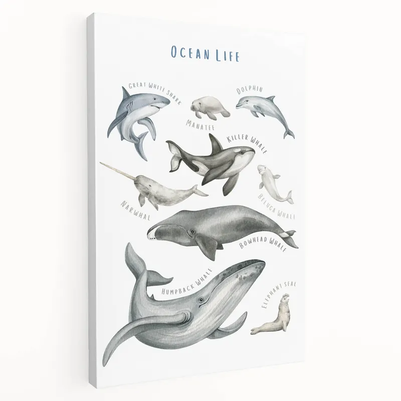 Top Rated Ocean Life Kids Educational Wall Art - Learning Poster for Classrooms