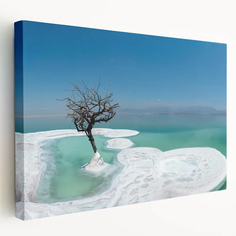 Dead Sea Photography - Israel Seascape Art with Tree and Salt Formations Must Have