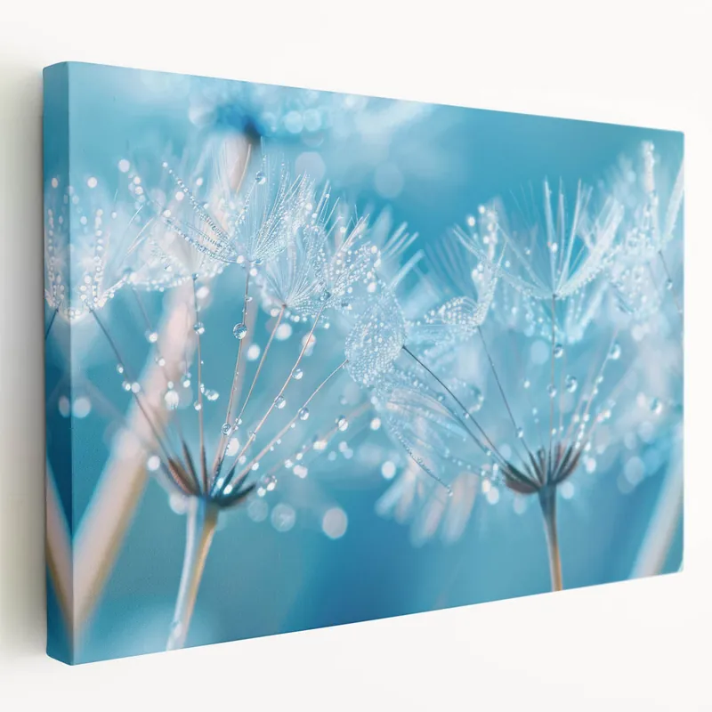 Limited Time Nature Close-Up Water Art – Dandelion Seed with Dew Photography Wall Decor