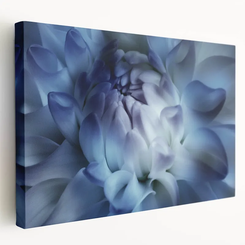 Low Price Blue Floral Wall Art - Close-Up Flower Photography for Home Decor
