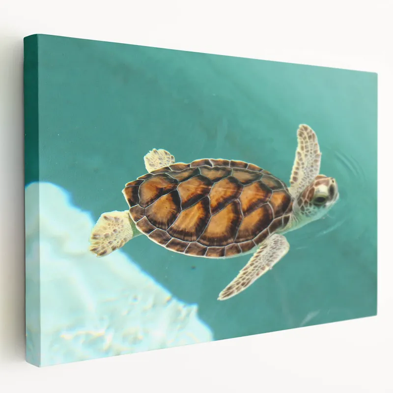 Quintana Roo Wall Art – Sea Turtle Canvas with Tropical Lagoon Scene Last Chance