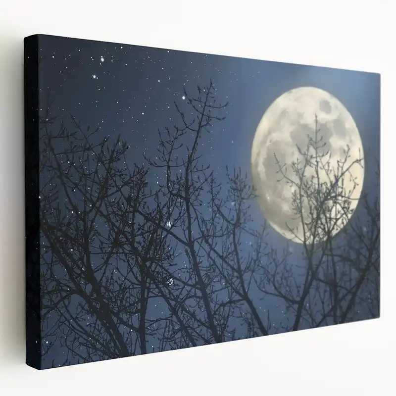 Stunning Moonlit Night Canvas – Celestial Decor with Lunar Phases Final Sale