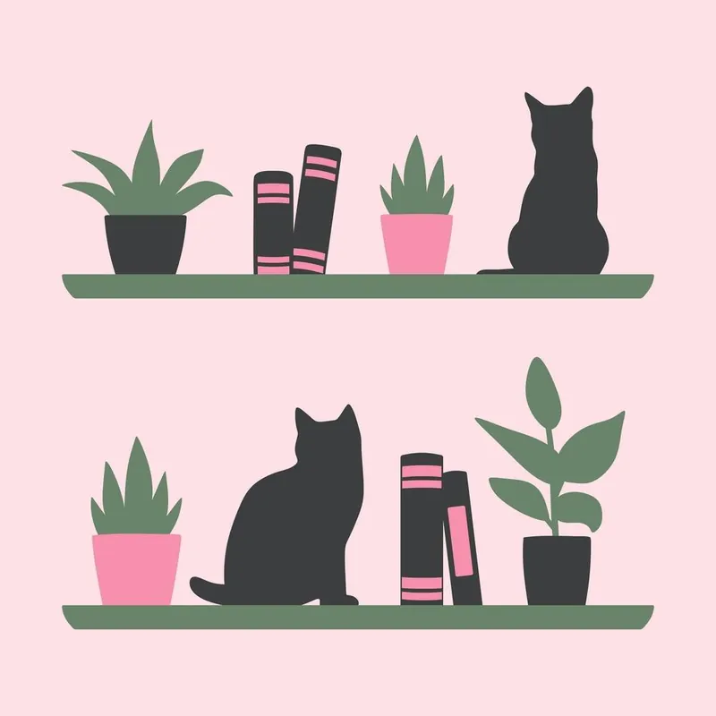 Grab Now Cats On Bookshelves