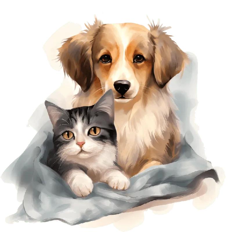 Cat and Dog Friends 14 Fresh Stock