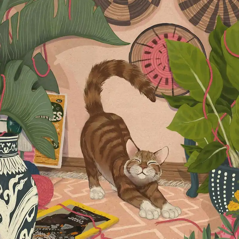 Popular Marmalade Cat Square