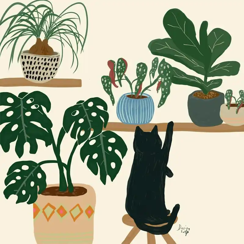 Limited Time Indoor Jungle