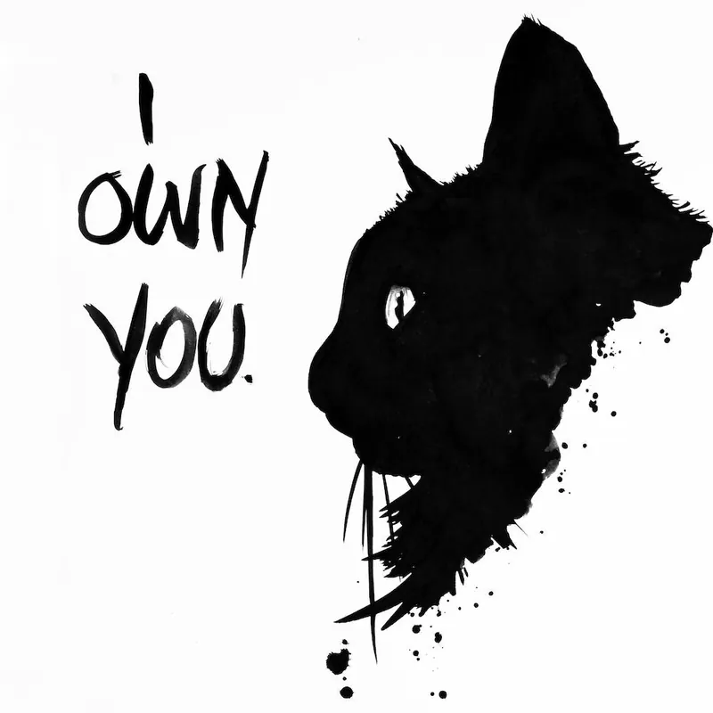 Today Only Black Cat Ink I Own You Slogan Funny