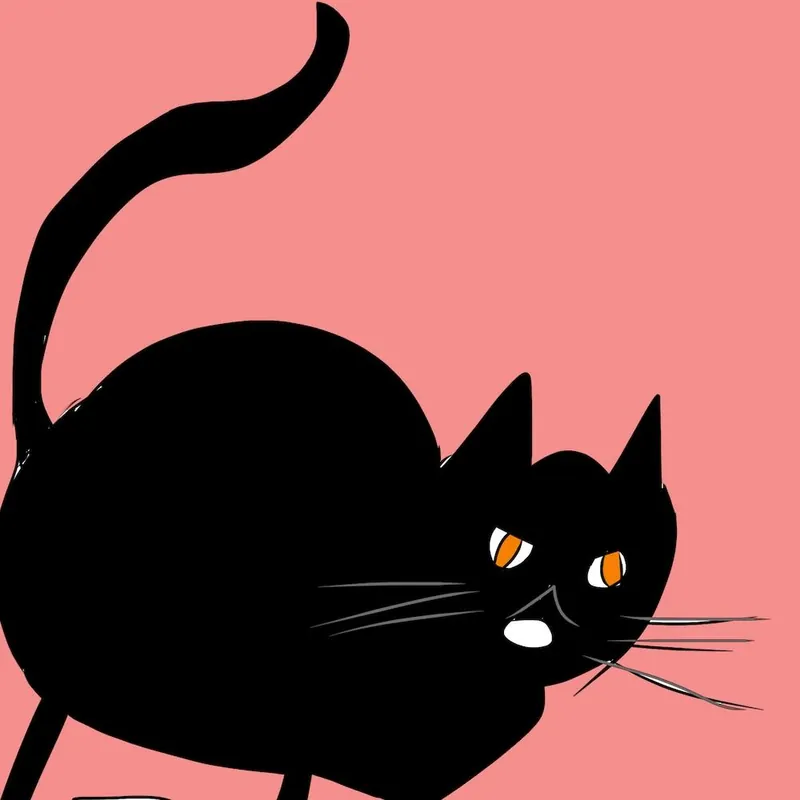 Flash Sale Crazy Cat Square