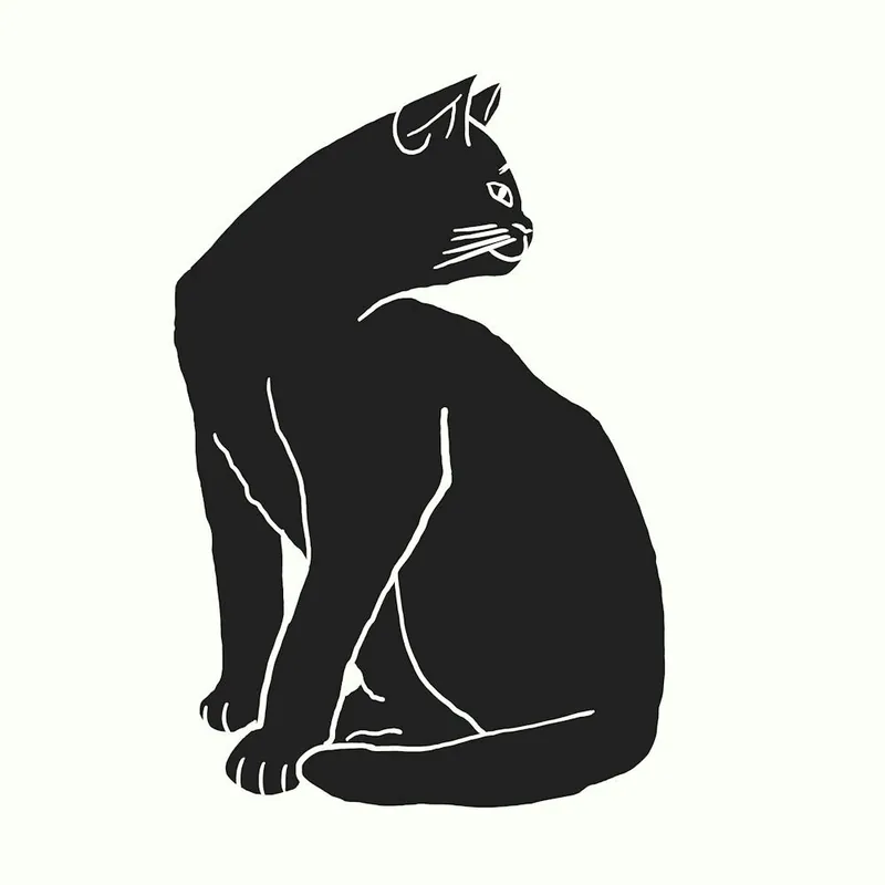 Special Offer Black Cat