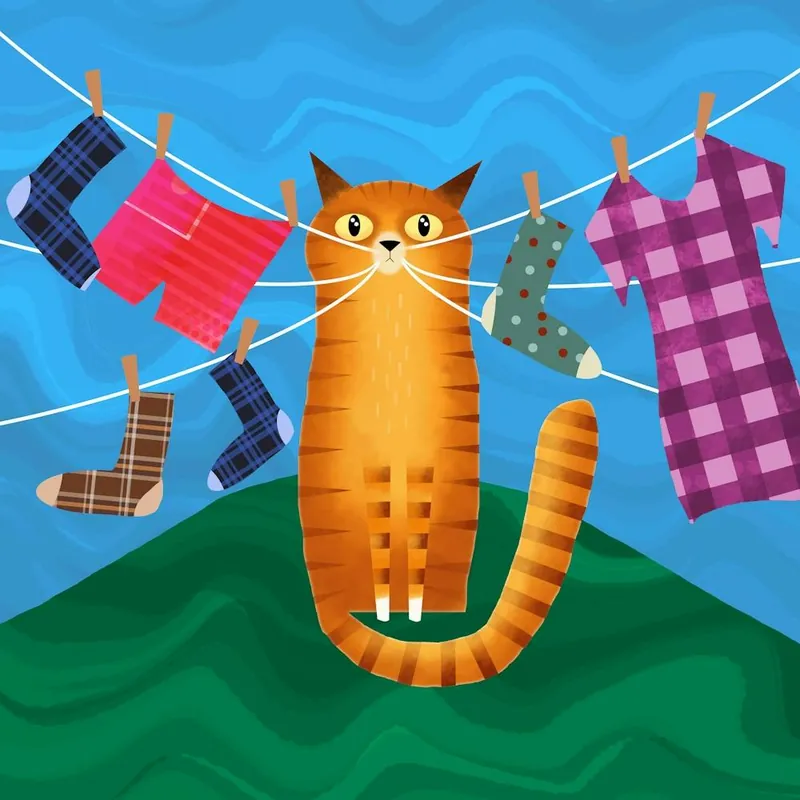 Laundry Day 2 Limited Edition