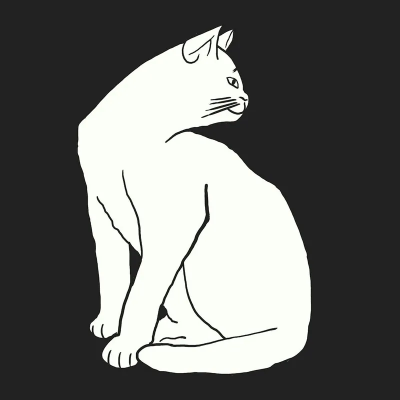 White Cat On Black Same Day Shipping
