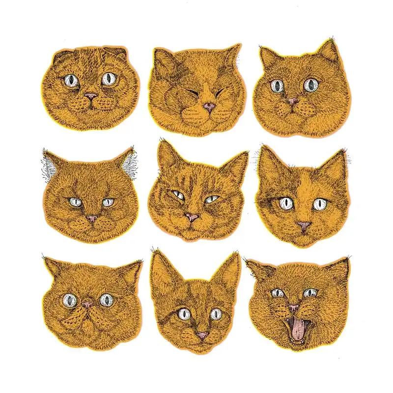 Orange Cat Faces Square Trending