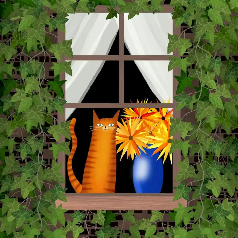 Curtain Twitching Wholesale
