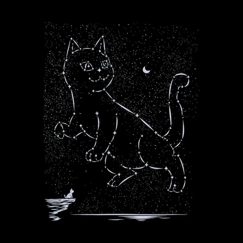 Cat Constellation Square Limited Edition