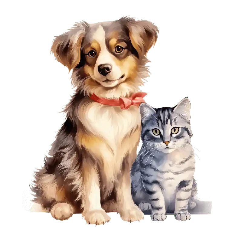 Authentic Cat and Dog Friends 3