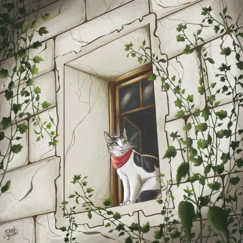 Next Day Delivery Cat In The Window