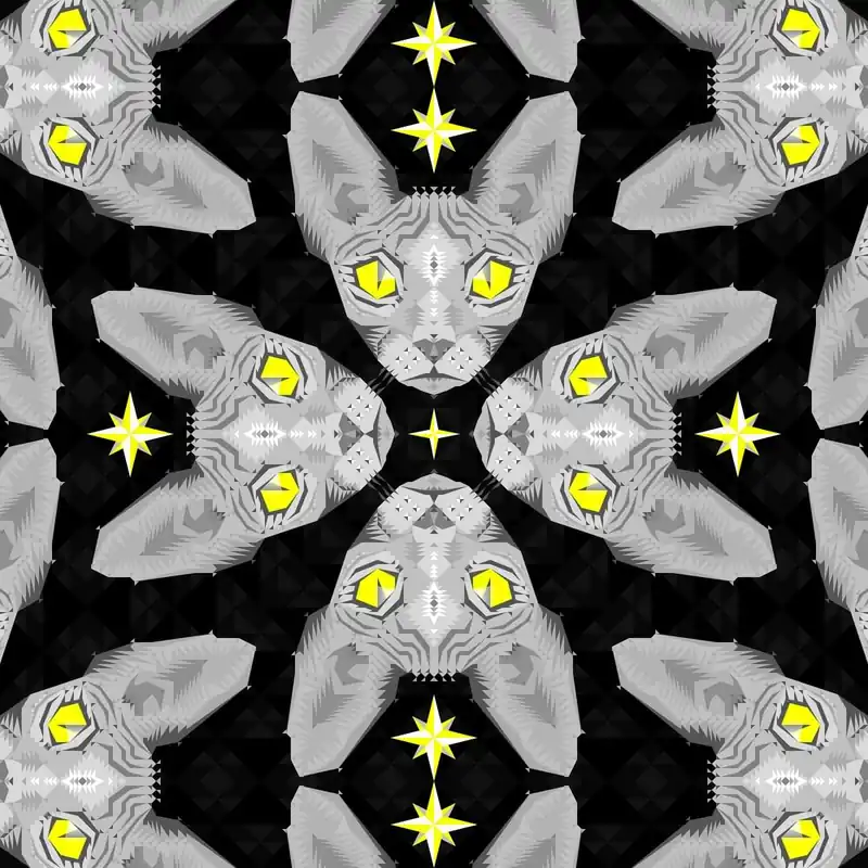Premium Chobopop Sphynxcat Black