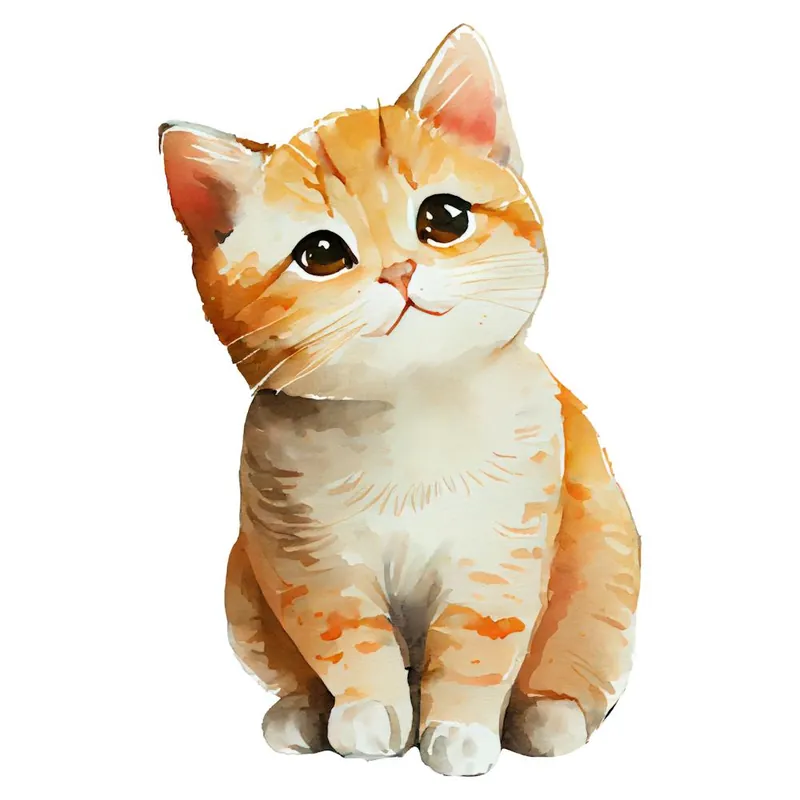 Cute Orange Tabby Cat Final Sale