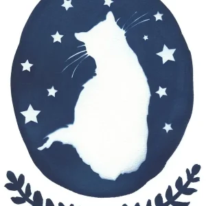 Starry Meow Shop Now