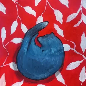 Wholesale Cat On Red Background
