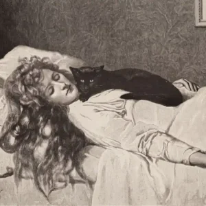 The Witch by John Collier 1893 ~ Witchy Pagan Gothic Feature Wall Art - A HD Remastered Victorian Drawing of a Witch With Black Cat Sleeping Trusted Brand