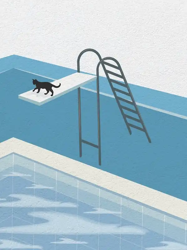 Vintage Minimal Art Cat on The Pool Professional Grade
