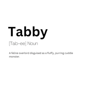 Tabby Definition Meaning Get Yours