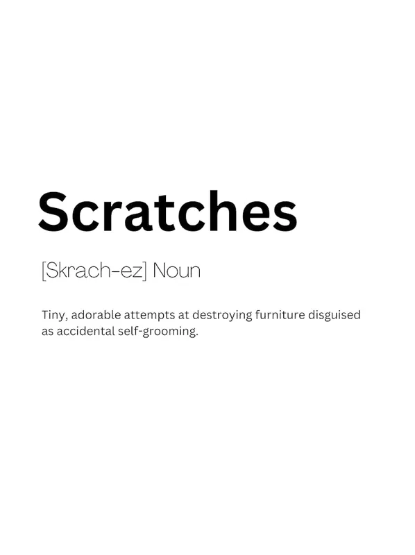 Scratches Definition Meaning Brand New