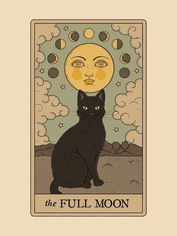 Don’t Miss Out The Full MoonCats Tarot