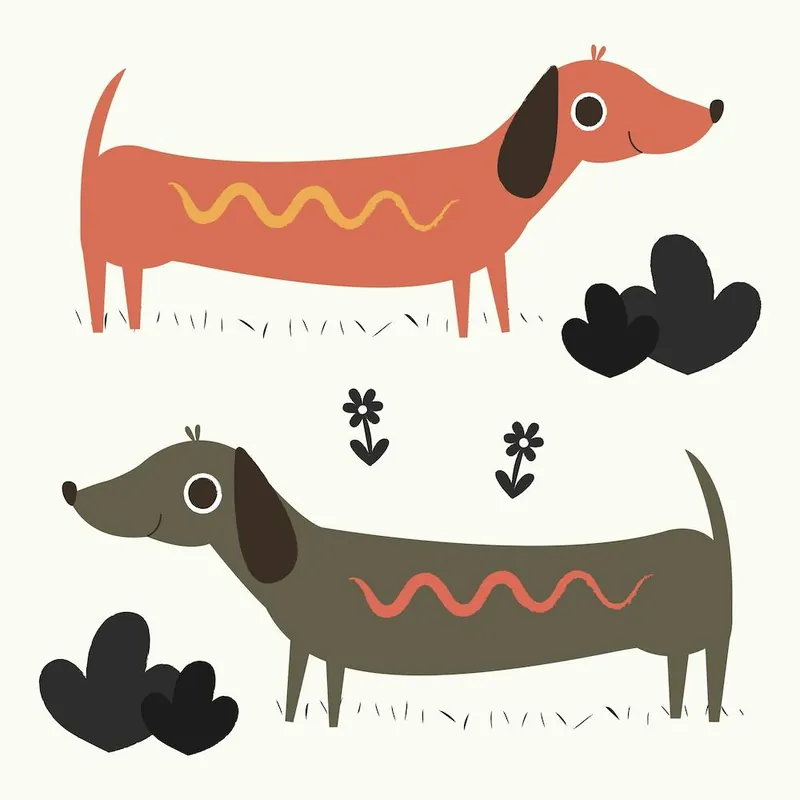 Wiener Dogs Limited Offer