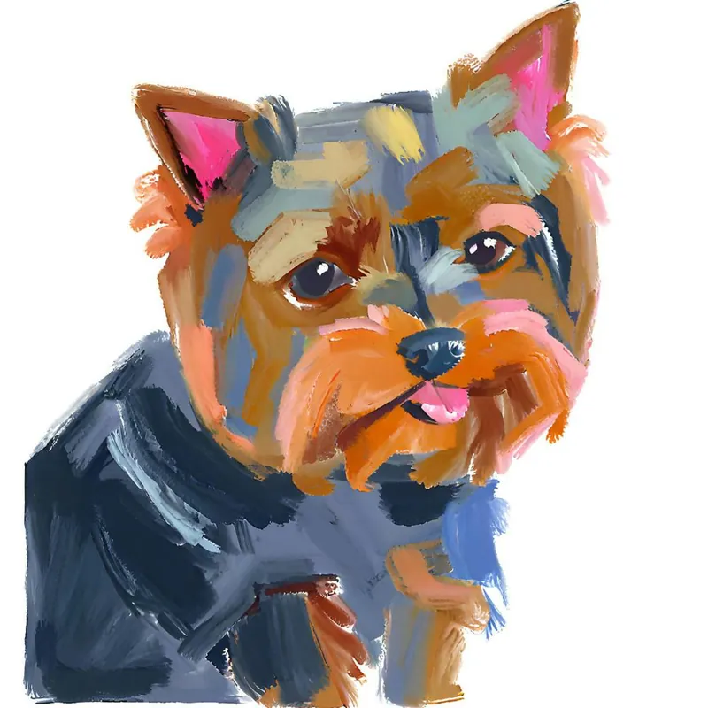 Yorkshire Terrier 03 Certified