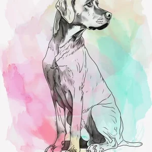 Vizsla Dog Pastel Line Painting 3 Price Drop